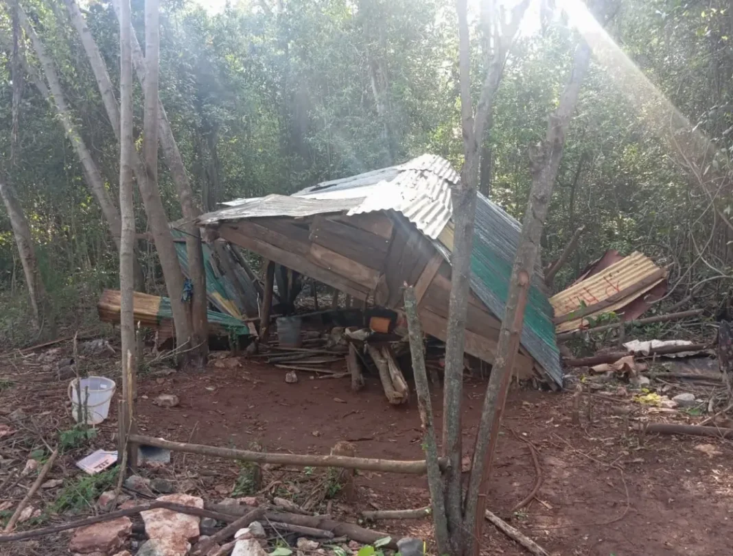 propiedad-Las-Mercedes