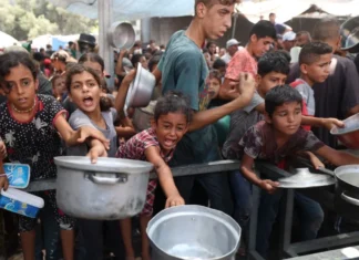 Así se ve el bloqueo de Gaza a través de los ojos de los camioneros y trabajadores humanitarios egipcios