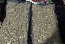 Droga ocupada a «Masha» y otra persona es marihuana sintética de alto valor en el mercado