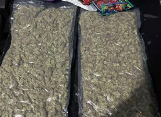 Droga ocupada a «Masha» y otra persona es marihuana sintética de alto valor en el mercado